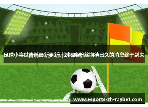 足球小将世青篇最新更新计划揭晓粉丝期待已久的消息终于到来