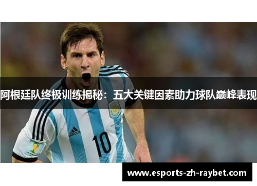 阿根廷队终极训练揭秘：五大关键因素助力球队巅峰表现