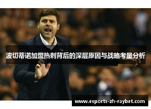 波切蒂诺加盟热刺背后的深层原因与战略考量分析