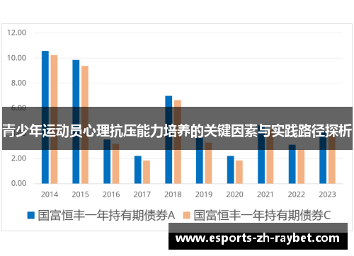 青少年运动员心理抗压能力培养的关键因素与实践路径探析