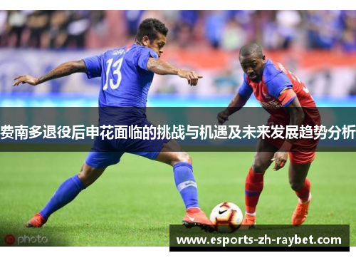费南多退役后申花面临的挑战与机遇及未来发展趋势分析 费南多退役后申花面临的挑战与机遇及未来发展趋势分析