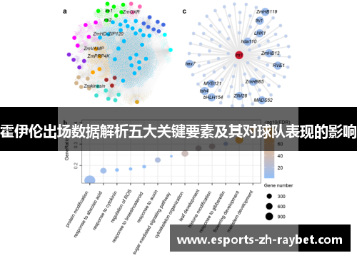 霍伊伦出场数据解析五大关键要素及其对球队表现的影响 霍伊伦出场数据解析五大关键要素及其对球队表现的影响