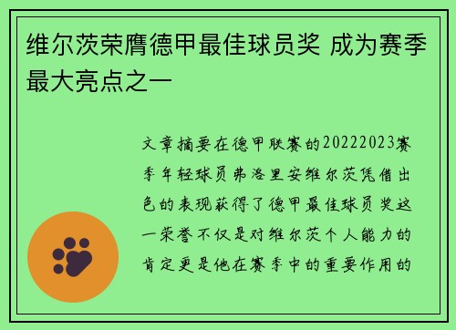 维尔茨荣膺德甲最佳球员奖 成为赛季最大亮点之一